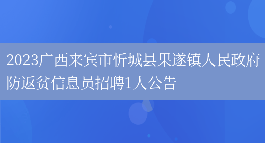 2023广西来宾市忻城县果遂镇人民政府防返贫信息员招聘1人公告