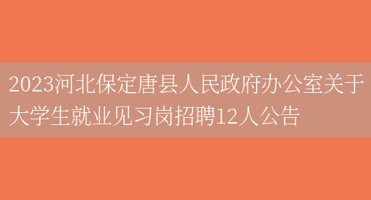 2023河北保定唐县人民政府办公室关于大学生就业见习岗招聘12人公告