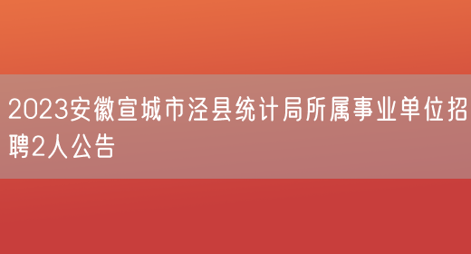 2023安徽宣城市泾县统计局所属事业单位招聘2人公告