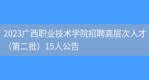 2023广西职业技术学院招聘高层次人才（第二批）15人公告