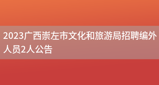 2023广西崇左市文化和旅游局招聘编外人员2人公告