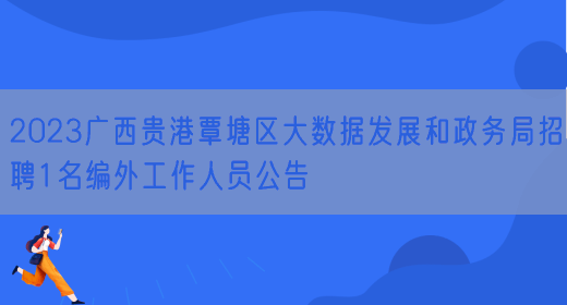 2023广西贵港覃塘区大数据发展和政务局招聘1名编外工作人员公告