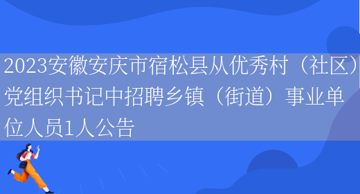 2023安徽安庆市宿松县从优秀村（社区）党组织书记中招聘乡镇（街道）事业单位人员