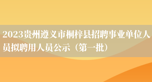 2023贵州遵义市桐梓县招聘事业单位人员拟聘用人员公示（第一批） 