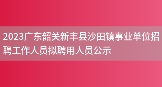 2023广东韶关新丰县沙田镇事业单位招聘工作人员拟聘用人员公示 
