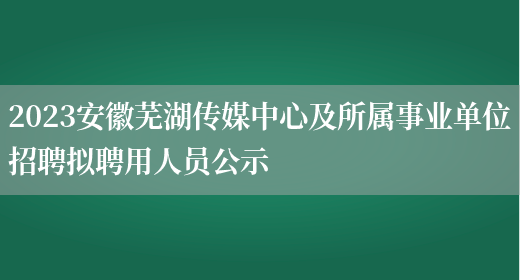 2023安徽芜湖传媒中心及所属事业单位招聘拟聘用人员公示 