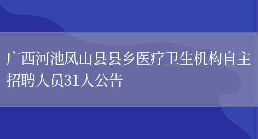 广西河池凤山县县乡医疗卫生机构自主招聘人员31人公告