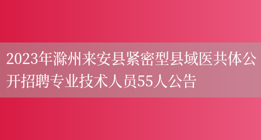 2023年滁州来安县紧密型县域医共体公开招聘专业技术人员55人公告