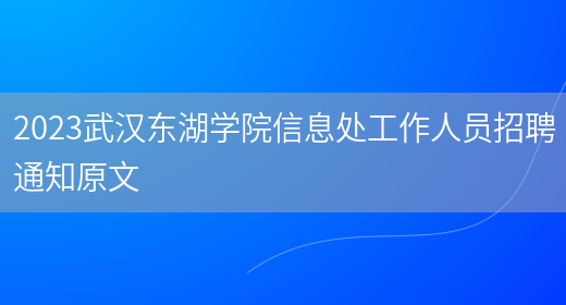 2023武汉东湖学院信息处工作人员招聘通知原文