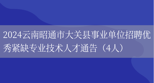2024云南昭通市大关县事业单位招聘优秀紧缺专业技术人才通告（4人）