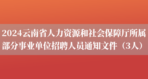 2024云南省人力资源和社会保障厅所属部分事业单位招聘人员通知文件（3人）