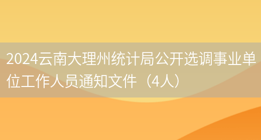 2024云南大理州统计局公开选调事业单位工作人员通知文件（4人）